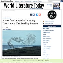 A New “Murmuration” Among Translators: The Starling Bureau