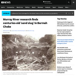 Murray River research finds centuries-old 'sand slug' in Barmah Choke