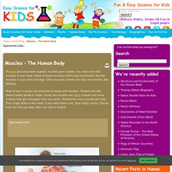 Muscle Facts for Kids