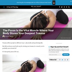 The Psoas Is the Important Muscle Where Your Body Stores Your Deepest Trauma