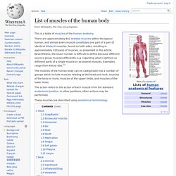 List of muscles of the human body