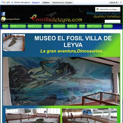 MUSEO EL FOSIL