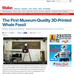 The First Museum-Quality 3D-Printed Whale Fossil