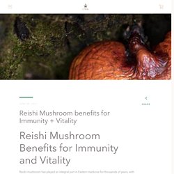 Reishi Mushroom benefits for Immunity + Vitality – Nutura Wellness