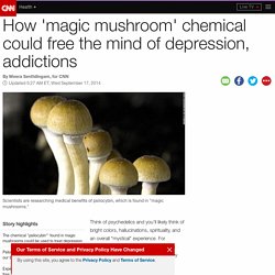 How 'magic mushroom' chemical could treat depression