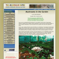 Mushroom Garden Patches