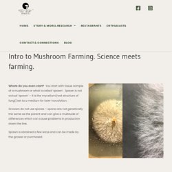 Mushroom information