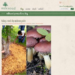 Making a wood chip mushroom garden - Milkwood: permaculture courses, skills + stories