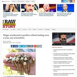Magic mushroom’s positive effects lasting over a year, say researchers