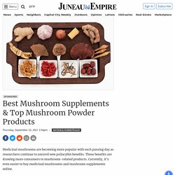 Best Mushroom Supplements & Top Mushroom Powder Products