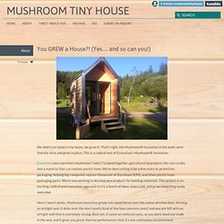 Mushroom Tiny House