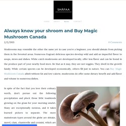 Buy Shrooms Online Vancouver - SHAFAA Magic Mushrooms