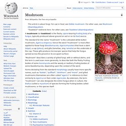 Wiki: Mushroom