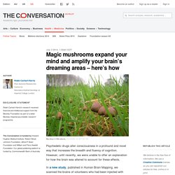 Magic mushrooms expand your mind and amplify your brain’s dreaming areas – here’s how