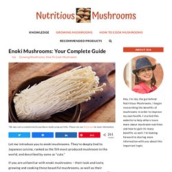 Enoki Mushrooms: Your Complete Guide - Nutritious Mushrooms