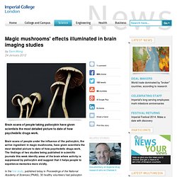 Magic mushrooms’ effects illuminated in brain imaging studies