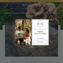 Can Mushrooms Clean Toxic Waste? Mycoremediation Explained