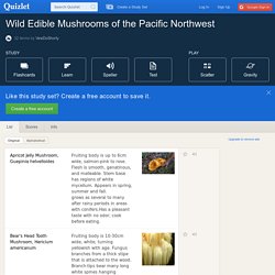 Wild Edible Mushrooms of the Pacific Northwest flashcards