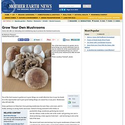 Grow Your Own Mushrooms