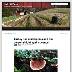 Turkey Tail mushrooms and our personal fight against cancer