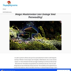 Magic Mushrooms Can Change Your Personality - Nupep Shrooms