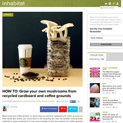 HOW TO: Grow your own mushrooms from recycled cardboard and coffee grounds