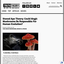 Stoned Ape Theory: Could Magic Mushrooms Be Responsible For Human Evolution?