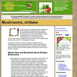 Mushrooms, shiitake
