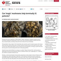 Can ‘magic’ mushrooms help terminally ill patients? - News on Heart.org