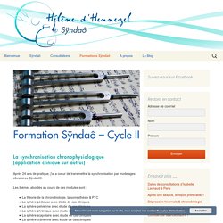 Formation Sÿndaô Cycle II Musicothérapie vibratoire