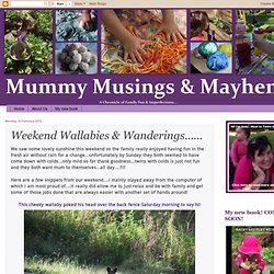 Mummy Musings and Mayhem: Weekend Wallabies & Wanderings......