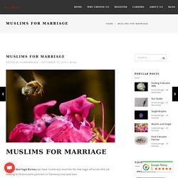 Muslims For Marriage