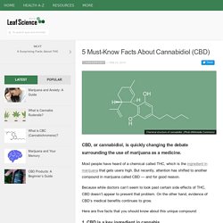5 Must-Know Facts About Cannabidiol (CBD)