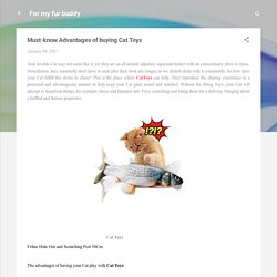 Must-know Advantages of buying Cat Toys