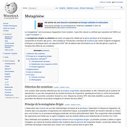 Mutagenèse