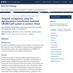 BMC PLANT BIOLOGY 26/11/18 Targeted mutagenesis using the Agrobacterium tumefaciens-mediated CRISPR-Cas9 system in common wheat