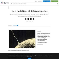 New mutations at different speeds