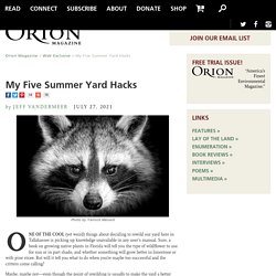 My Five Summer Yard Hacks