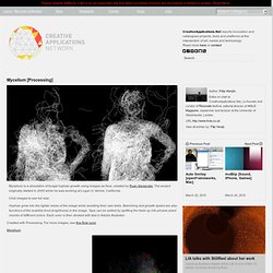 Mycelium [Processing] - Fungal hyphae growth using images as food //app by @notlion
