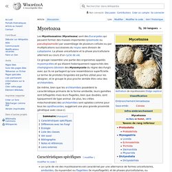 Mycetozoa