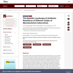 ANTIBIOTICS 15/07/21 The Epistatic Landscape of Antibiotic Resistance of Different Clades of Mycobacterium tuberculosis