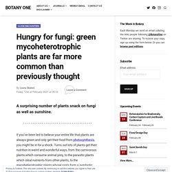 Hungry for fungi: green mycoheterotrophic plants are far more common than previously thought