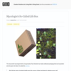 Mycologists So-Called Life Box - Environment - GOOD