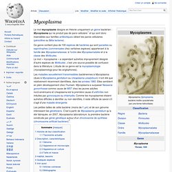 Mycoplasme