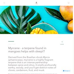 Myrcene - a terpene found in mangoes helps with sleep!? – Nutura Wellness