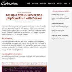 Set up a MySQL Server and phpMyAdmin with Docker – Linux Hint
