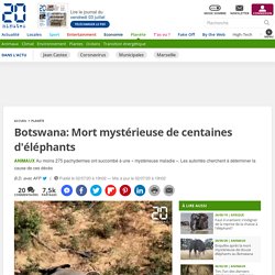 Botswana: Mort mystérieuse de centaines d'éléphants 2 juillet 2020