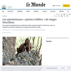 Les mystérieuses « pierres taillées » de singes brésiliens