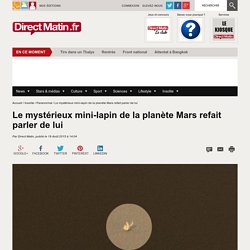 Le mystérieux mini-lapin de la planète Mars refait parler de lui