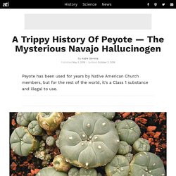 A Trippy History Of Peyote, The Mysterious Navajo Hallucinogen